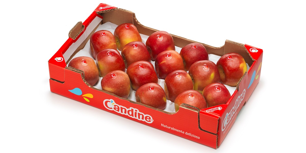 Mela Candine®, al via la nuova campagna commerciale targata Apofruit